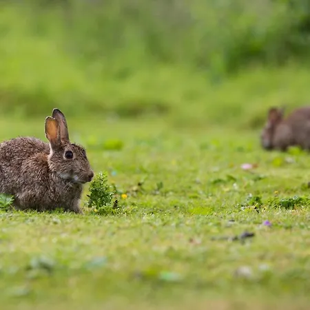 Hébergement de vacances Yorkshire Dales 5 By Together Travel - 3-bed Family Retreat Richmond (North Yorkshire)